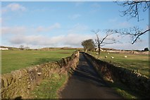SE1241 : Lane to Whitecroft Farm, Eldwick by Richard Kay