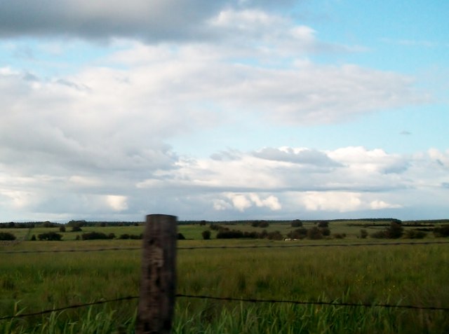 Farmland north of the N5 at Carrowreagh