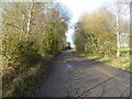 Horton Heath, bridleway