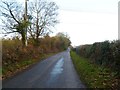 Mannington, Burts Lane