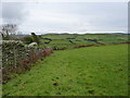 Drystone wall and a bridleway above Cefncoch Uchaf