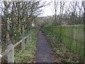 Footpath beside the A19