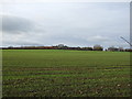 Farmland towards Crosby Moor Farm