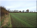 Farmland south of Crosby Court Grange