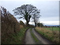 Track to Brockholme Farm