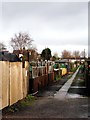 Queensway Allotments