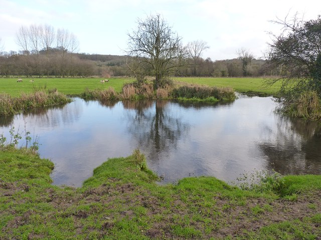 River Itchen Water Meadows