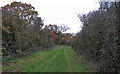 Workhouse Lane (South end)