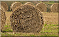 Straw bales near Lisburn