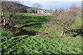 Cottage in the Olchon Valley