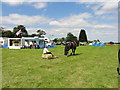 Coldred, Chilli Farm Country Show