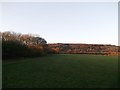 View of North Downs, from Oxted