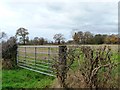 Field gate, Middlewich Road