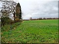 Field with electric fence, west of Crown Lane