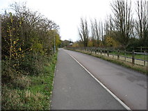 TL4358 : The Coton footpath and cycleway by David Purchase