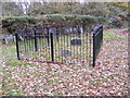 TM2345 : Dobbs Grave in Kesgrave Wood by Geographer