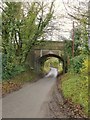 Old railway bridge at West Dean