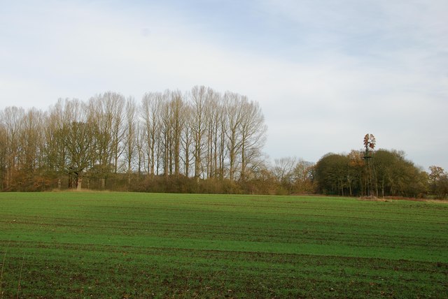 A field of recently planted corn with an old wind powered pump