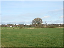 SE5157 : Farmland, Moor Monkton by JThomas