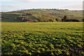 Farmland in the Escley valley