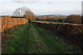 Green lane at Middle Maes-Coed