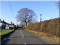 Entering Brundish on the B1118 The Thoroughfare