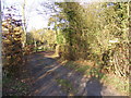 Footpath to Wilby Lane