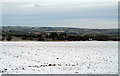 Snowed field west of Rowntree Farm