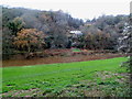 Houses on the west bank of the Wye viewed from the east bank south of Redbrook