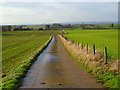 Road and farmland, South Cowton