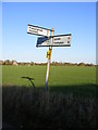 TM2975 : Silverley's Green Roadsign by Geographer