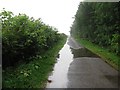 A wet road