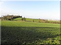 Killyliss Townland