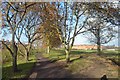 Leicester to Swannington Railway - West Bridge