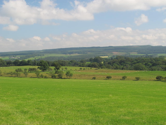 Hexhamshire around of Whitley Mill © Mike Quinn :: Geograph Britain and ...