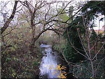 SO8376 : River Stour seen from New Road, Kidderminster by P L Chadwick