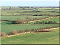 Intakes, between Muston and Hunmanby