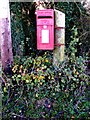 Halesworth Road Postbox