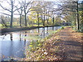 Towpath, Woking