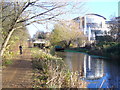 Basingstoke Canal Towpath, Woking