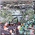 Benchmark, Little Durnford Manor