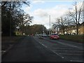 Lode Lane approaching Henley Crescent