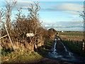 Farm track with footpath