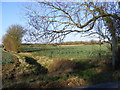 Footpath to Verdons Lane