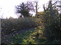 Footpath to Cake Street