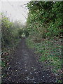 The old lane to Muxton Grange