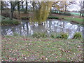 Duck pond near Bury St Austen