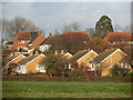 Houses on Hammer Way