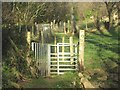 Dwy giat fochyn ar Lwybr y Gogledd / Two kissing gates on the North Wales Path