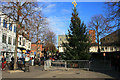 The christmas tree goes up in Beeston